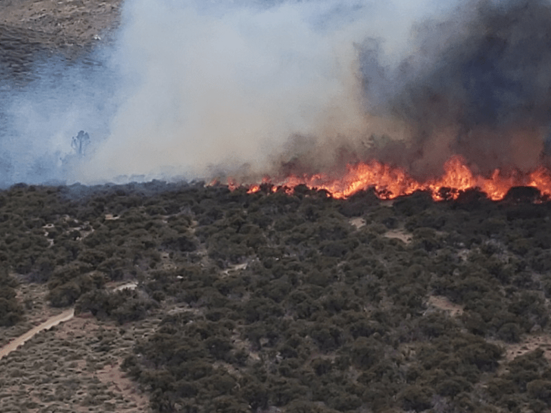 Photo from Saturday taken by the Washoe County Sheriff's Office RAVEN.