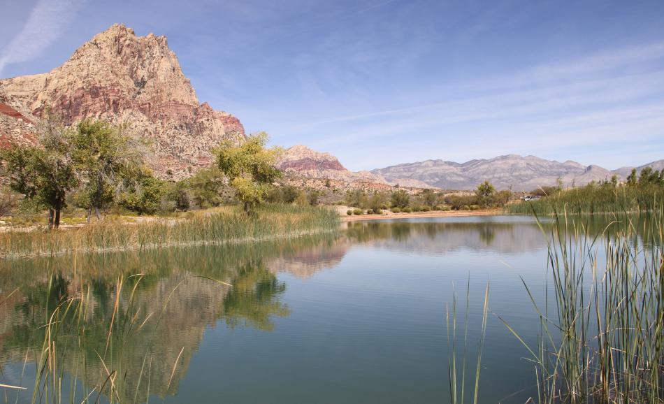 Lake Harrie was once home to Nevada’s largest population of endangered Pahrump poolfish.  Photo by Doug Nielsen, NDOW