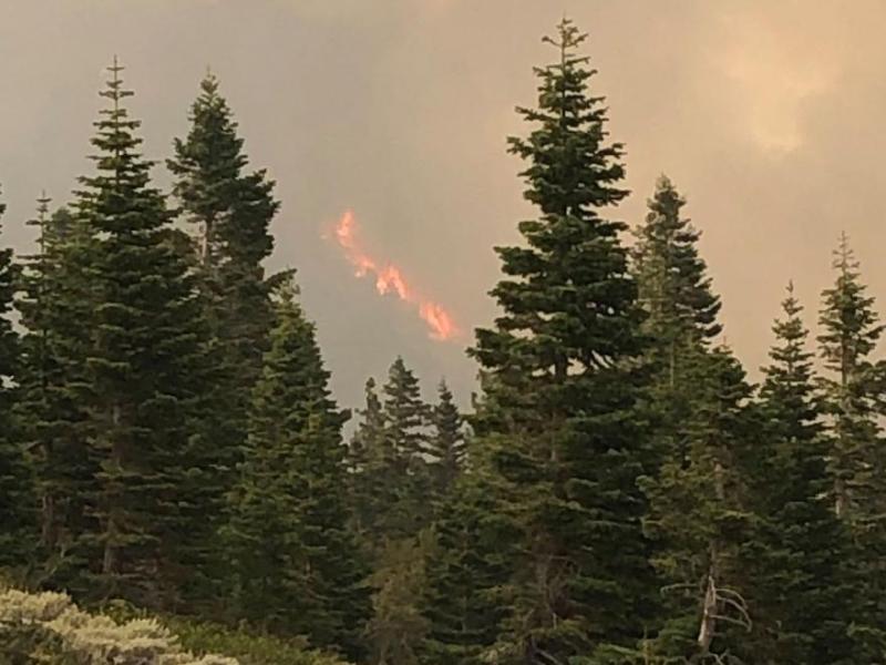 U.S. Forest Service photos