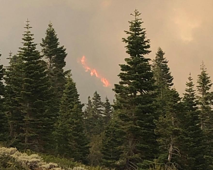 U.S. Forest Service photos