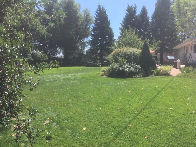 Landscaping from 2020 looking at the south end.
