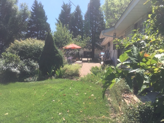 Landscaping from 2020 looking at the patio area.
