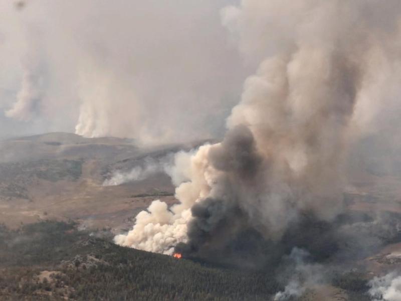 The Slink Fire south of Topaz. Photo by the U.S. Forest Service-Humboldt-Toiyabe National Forest