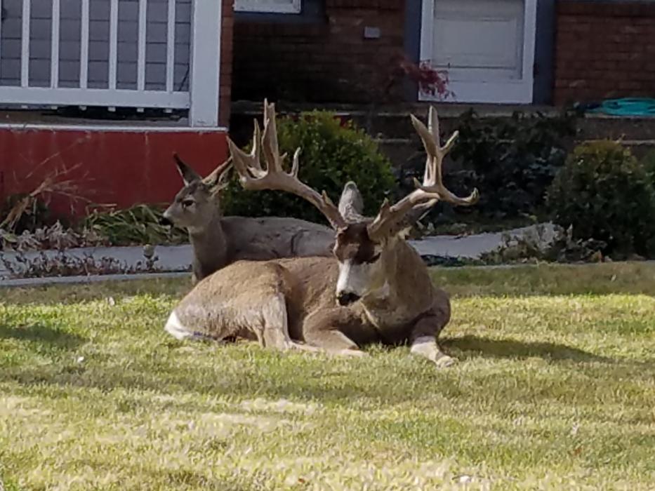 Photo by Christene Hoesch