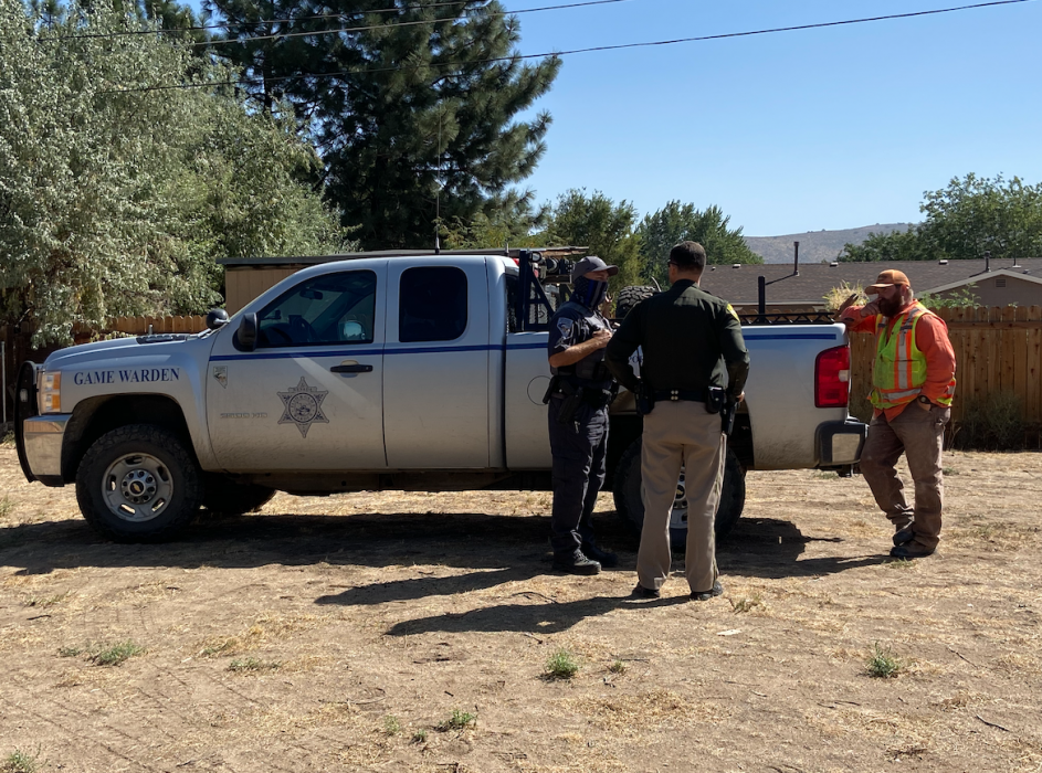 The game warden took the king to perform an autopsy in Reno