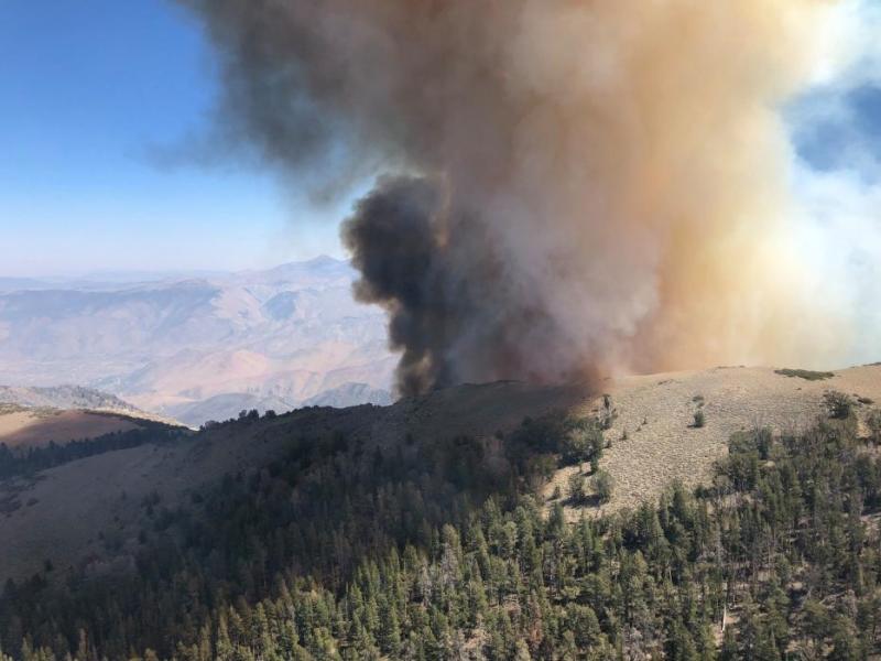 Slink Fire south of Topaz in this Sept. 3 file photo by the U.S. Forest Service