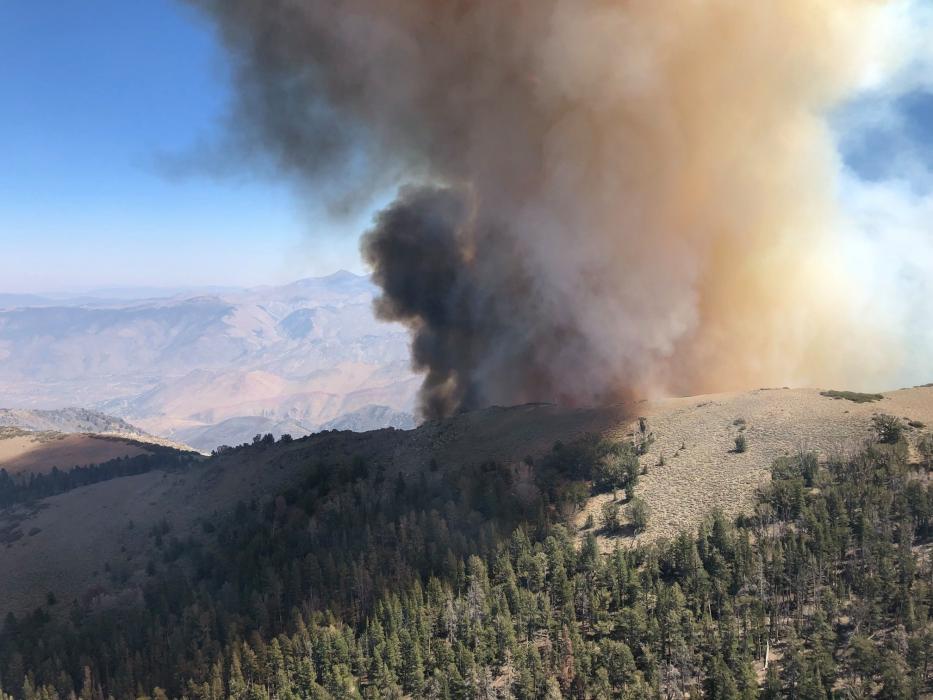 Slink Fire south of Topaz in this Sept. 3 file photo by the U.S. Forest Service