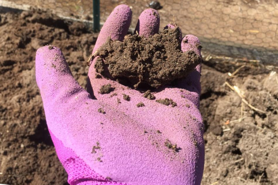Northern Nevada backyards and gardens: How is synthetic fertilizer made?