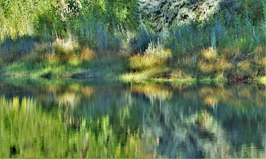 An early fall color tapestry along the Carson River courtesy of Edward Howell