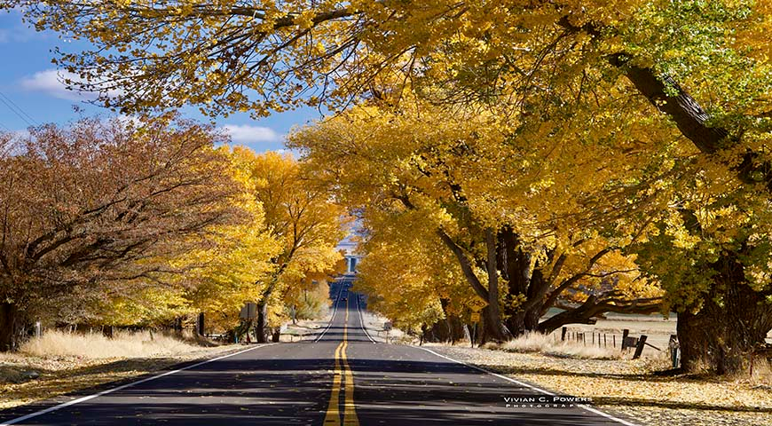 Fall Colors on Genoa Lane by Vivian Powers Photography courtesy Visit Carson Valley