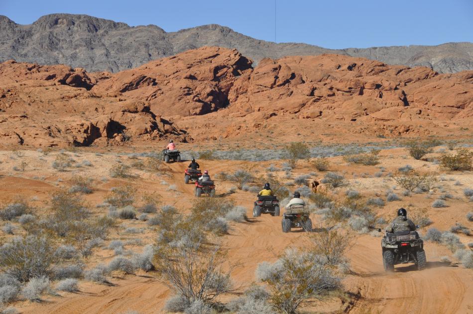 Nevada Off-Highway Vehicles Program photo of Logandale Trails.