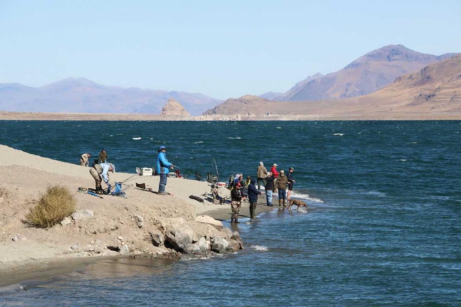 Photo courtesy of Pyramid Lake 