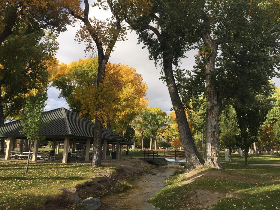 Fall leaves and partly cloudy skies Sunday morning at Carson City's Mills Park.