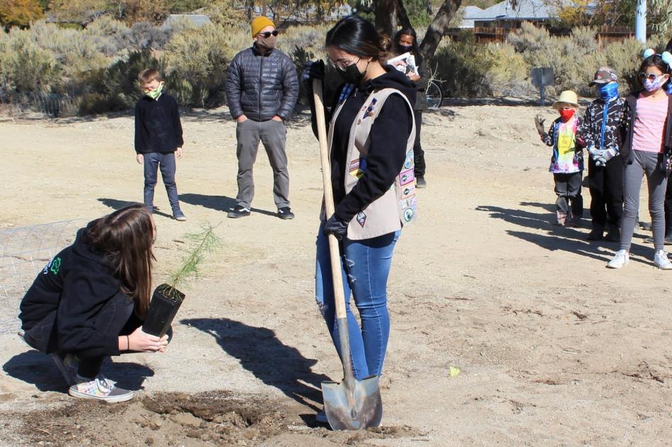 The Girl Scouts planted Honey Locust and Austrian Pines which were chosen for their adaptability to our climate.