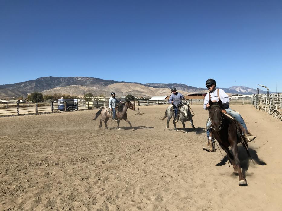 Inmates in the wild horse program at Stewart Conservation Camp work with their horses Tuesday.