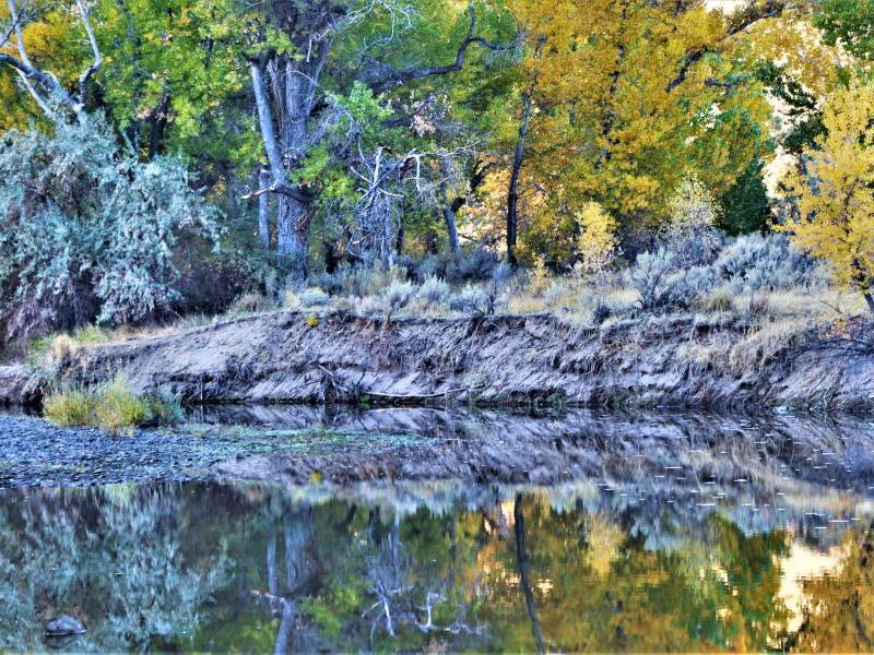 Fall colors on The Carson River