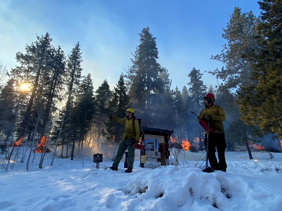 U.S. Forest Service photo