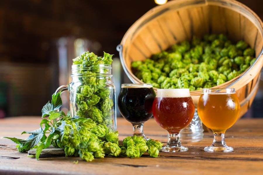 Enjoy farm to table craft beers, wines and eats in Placer County (Credit: Erik Bergen/Placer County)