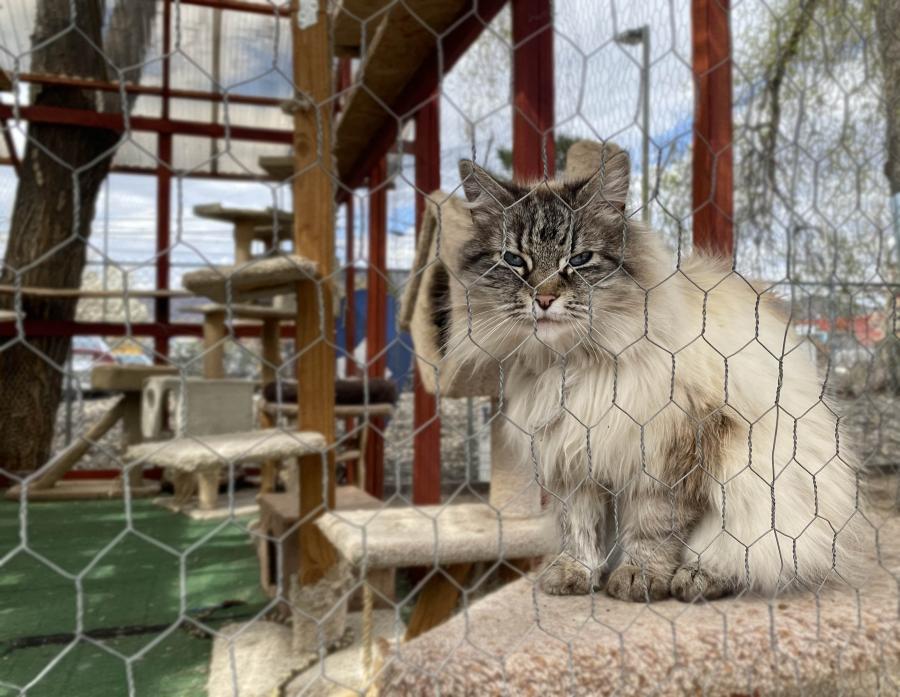 Attitude is well tolerated and embraced at Catmandu