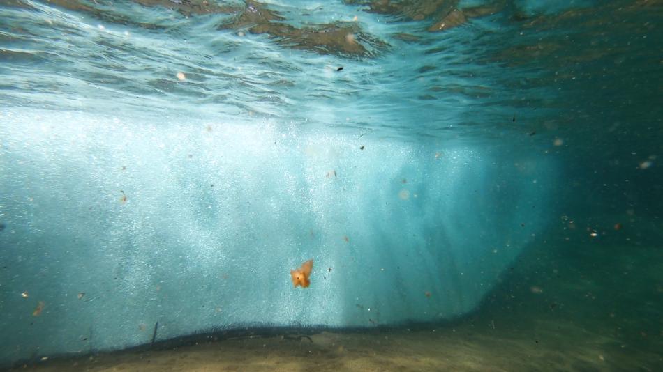 Elk Point Bubble Curtain Underwater.. League to Save Lake Tahoe photos