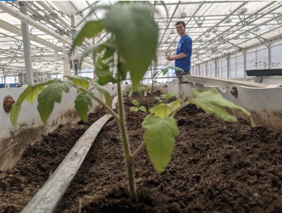 Healthy Communities seeks AmeriCorps members to serve in its Dayton greenhouse