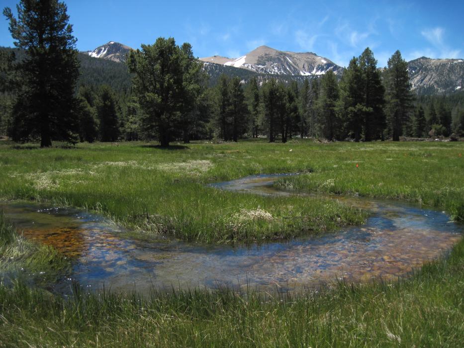 Photo courtesy of USDA Tahoe Basin