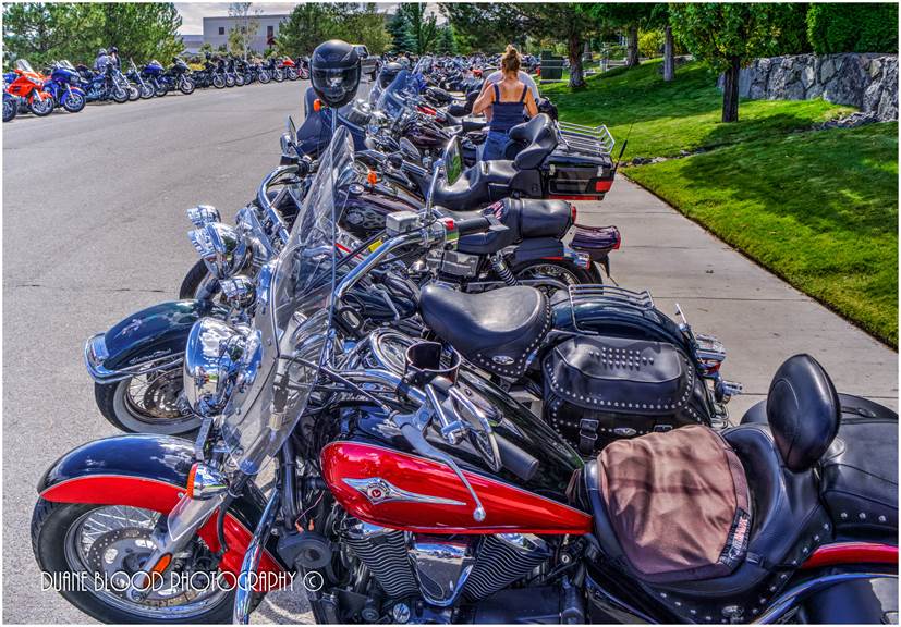 Motorcycles are lined up at Battle Born Harley-Davidson at the Street Vibrations rally in 2015. Photo by Duane Blood