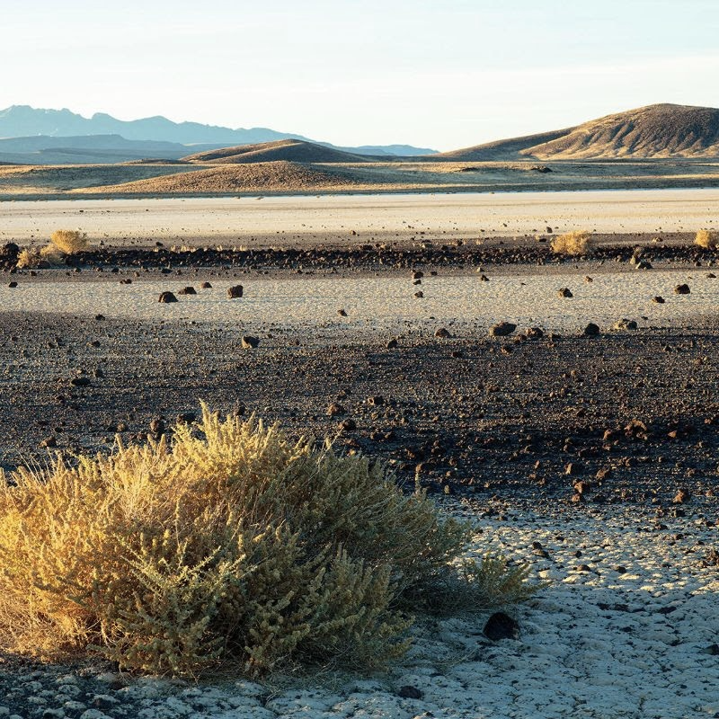 Dry sagebrush on the desert floor the deserted Lunar Lake on a sunny day