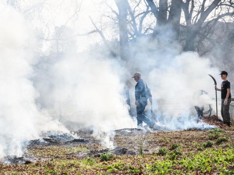 Two people stand in a field with burning leaf piles with white smoke coming from the piles.