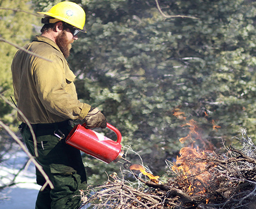 Prescribed fires help land managers reduce hazardous fuels that can feed unwanted wildfires. U.S. Forest Service photo.