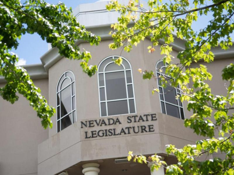 The Legislature on Saturday, May 22, 2021. (David Calvert/The Nevada Independent)