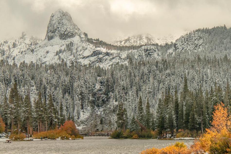 Winners Choice: “Seasons Collide” Beth Breton