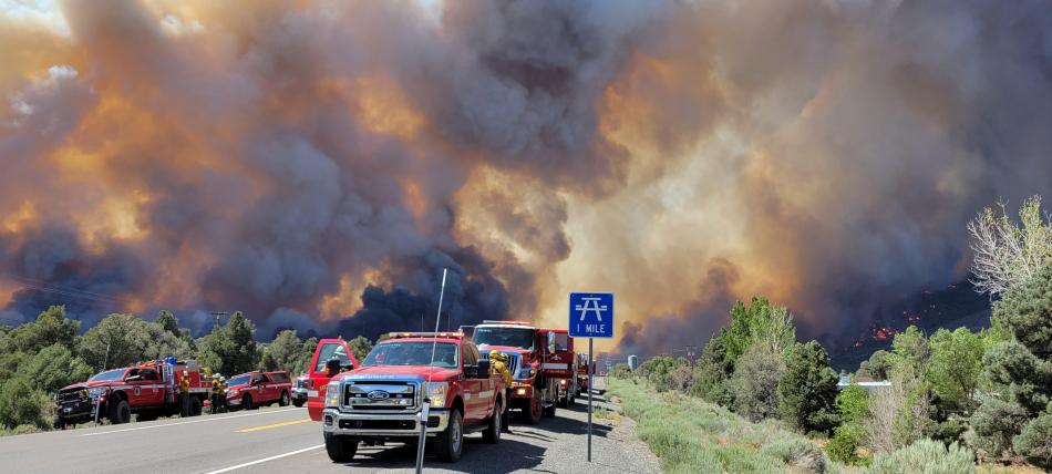 U.S. Forest Service photo of Tamarack Fire from US-395 on July 22.