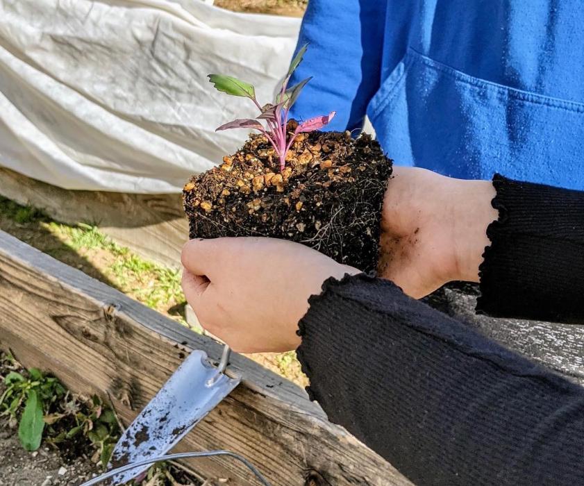 Photo courtesy of The Greenhouse Project.
