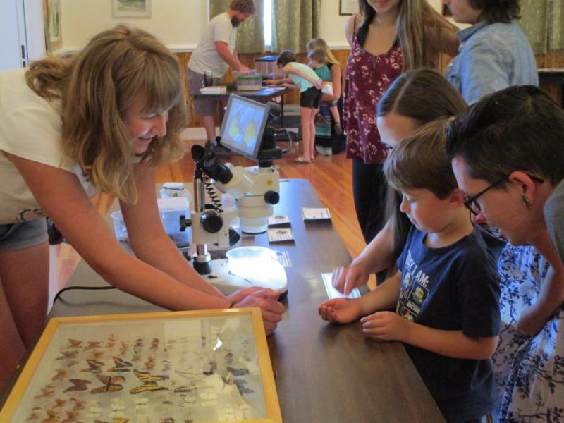 The Comstock community of Silver City offers a summer full of public programming