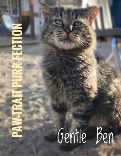 Gentle Ben