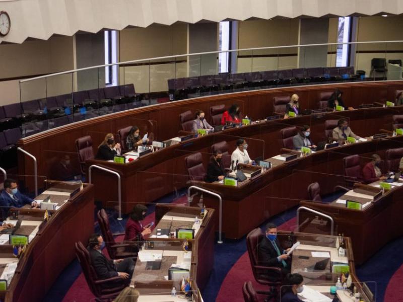 Members of the Assembly inside the Legislature on March 9, 2021 in Carson City. (David Calvert, Nevada Independent)