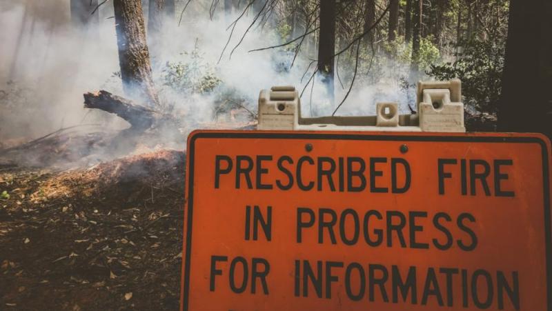 U.S. Forest Service file photo