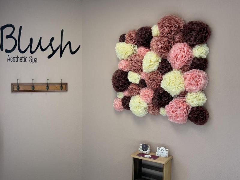 Blush Aesthetic Spa opens in Carson City. All photos courtesy Maureen Burton.