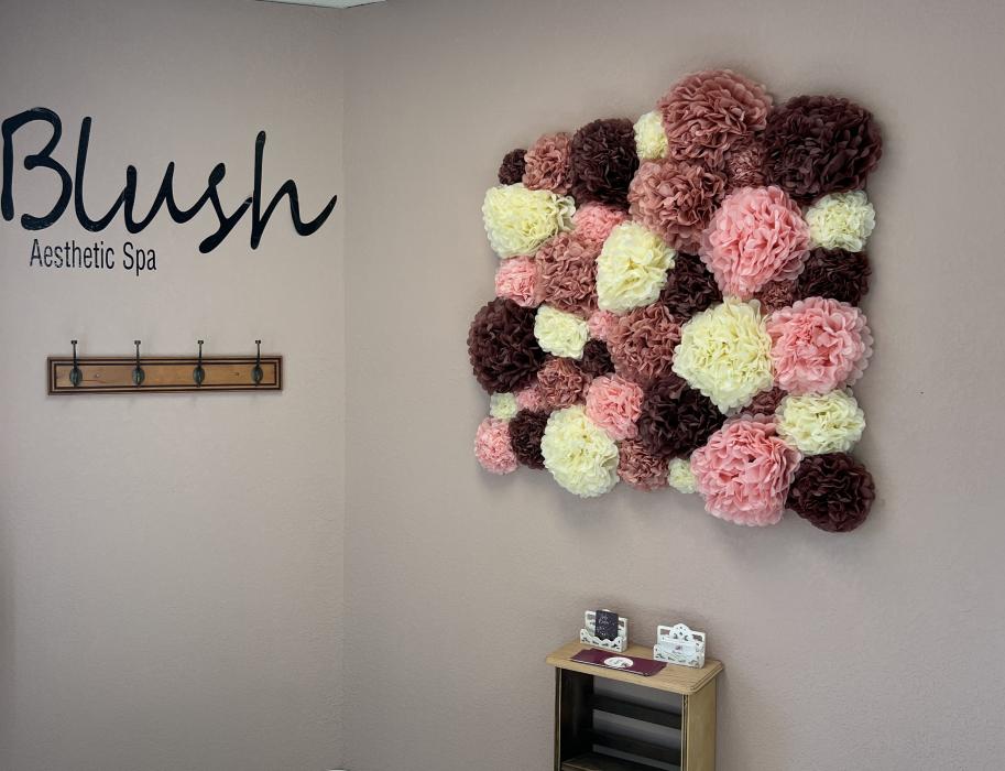Blush Aesthetic Spa opens in Carson City. All photos courtesy Maureen Burton.