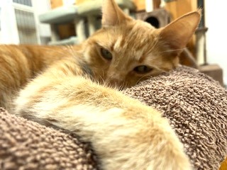 I see you.