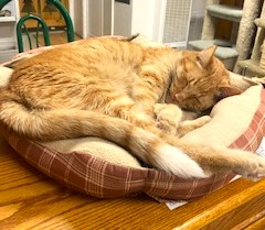 I love to cuddle.