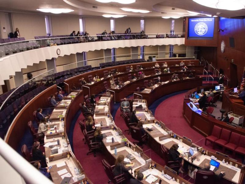 The Nevada State Assembly. Photo by David Calvert, the Nevada Independent.