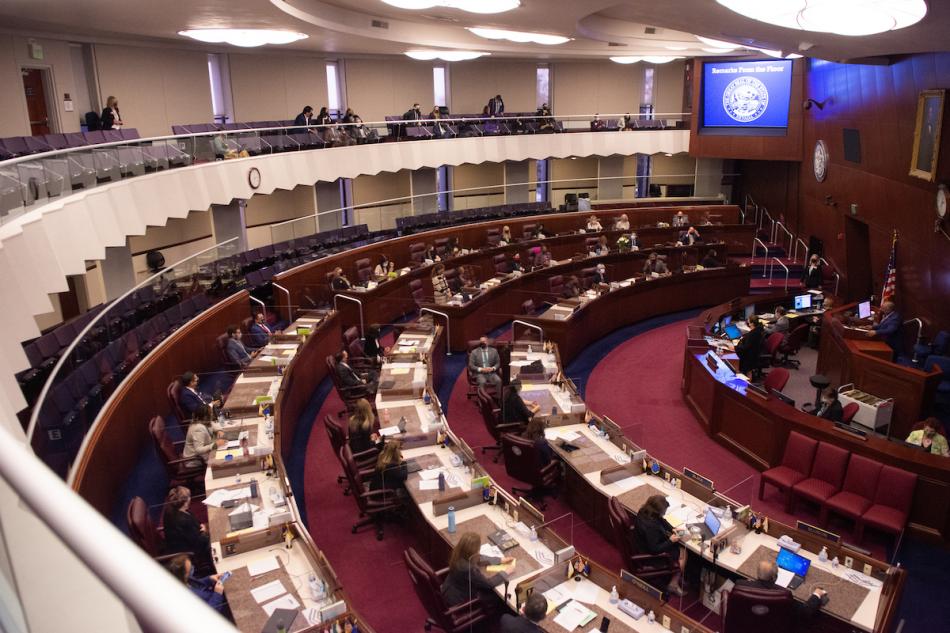 The Nevada State Assembly. Photo by David Calvert, the Nevada Independent.