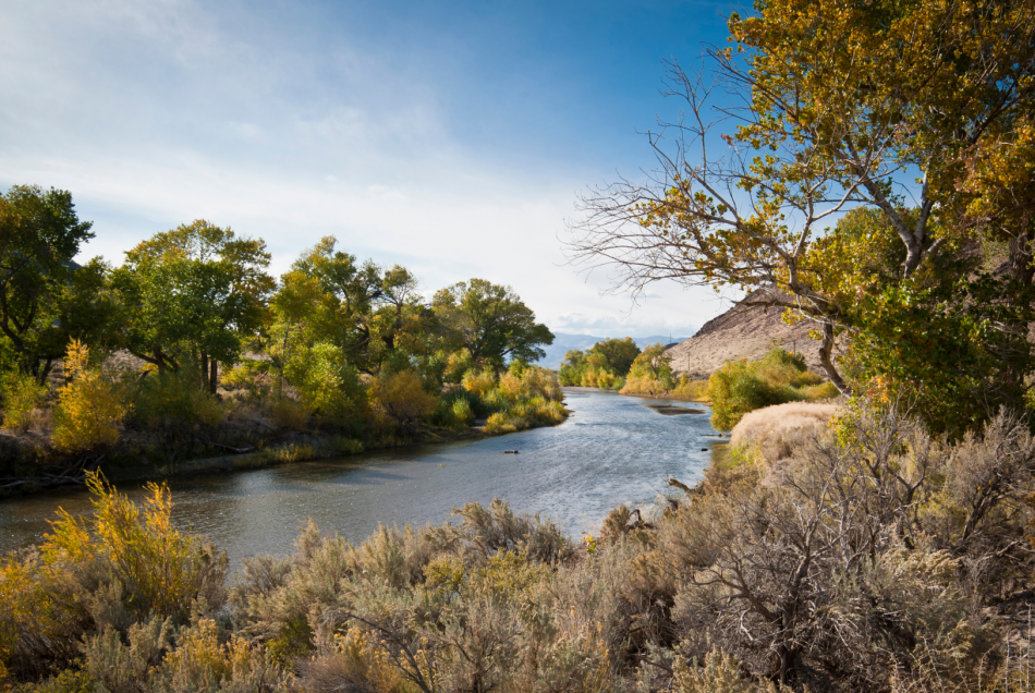Carson River photo by the Nevada Department of Conservation and Natural Resources.