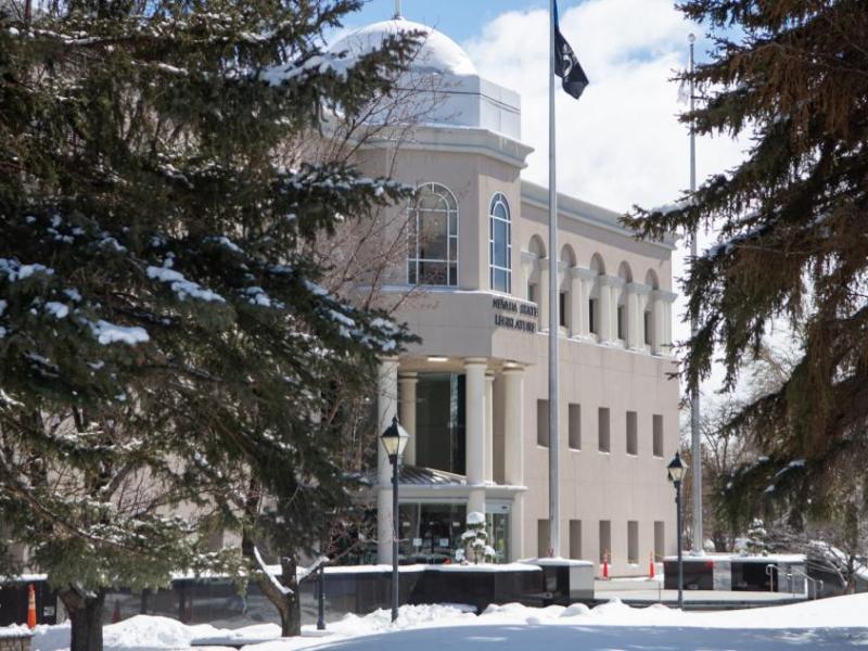 The Legislature on March 2, 2023 in Carson City following a winter storm. (David Calvert/The Nevada Independent)