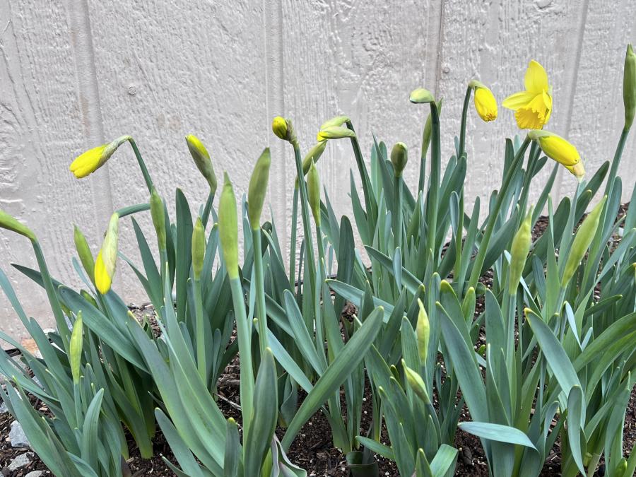 Events happening in Carson City Friday the 13th