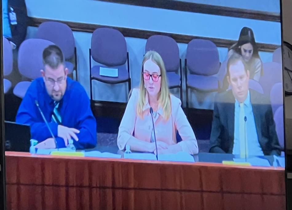 Frank Sakelarios, Stella Thornton and Adam Hunsaker on Monitor.