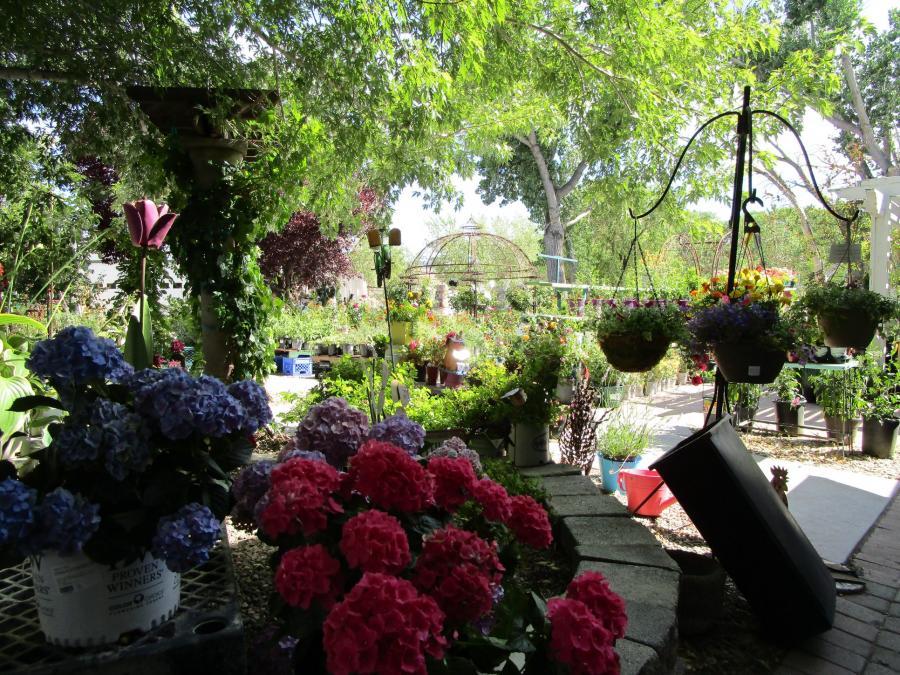 Community Roots is a garden center and gift shop