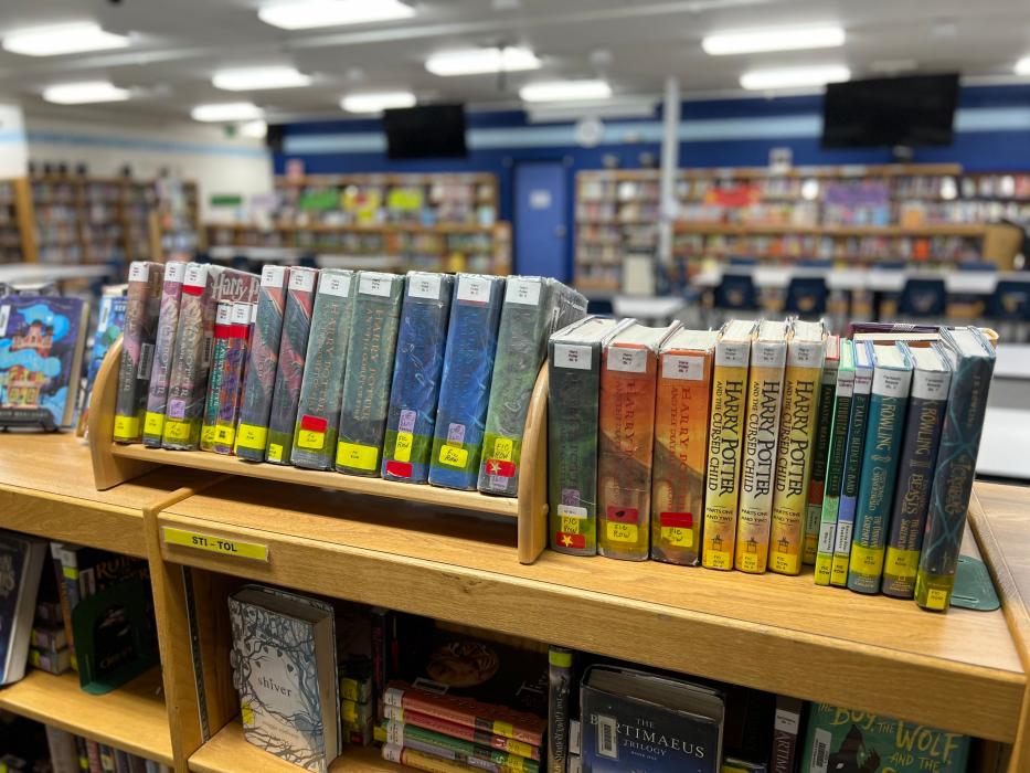 The goal of this summer reading challenge is to encourage students to read over the summer.